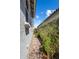 Narrow side yard with low maintenance landscaping at 2644 S Dock St, Gilbert, AZ 85295