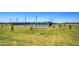 Beautiful outdoor pickleball court surrounded by green lawns and small trees under a clear blue sky at 3072 E Appaloosa Rd, Gilbert, AZ 85296