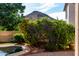 Landscaped backyard featuring lush greenery and colorful flowers with mountain views at 5423 W Range Mule Dr, Phoenix, AZ 85083
