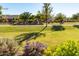Picturesque view of a community greenbelt with mature trees, flowering bushes and walking path at 5423 W Range Mule Dr, Phoenix, AZ 85083