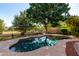 Backyard pool surrounded by mature trees and landscaping, offering a private oasis at 5423 W Range Mule Dr, Phoenix, AZ 85083