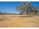 Expansive community park under a bright blue sky, with trees and open space for recreation at 8010 W Adam Ave, Peoria, AZ 85382