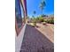 Desert backyard features low-maintenance gravel, mature trees, and shrubs under a sunny sky in Arizona at 1516 E Azalea Dr, Gilbert, AZ 85298
