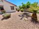 Private backyard featuring gravel and desert plants, creating a low-maintenance and serene outdoor retreat at 1516 E Azalea Dr, Gilbert, AZ 85298