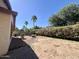 Spacious backyard with easy-care xeriscaping, manicured plants, and flowering bushes under a clear sky at 1516 E Azalea Dr, Gilbert, AZ 85298