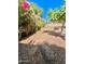 Landscaped backyard features desert landscaping, including gravel, flowering shrubs and desert plants at 1516 E Azalea Dr, Gilbert, AZ 85298