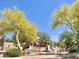 Community playground in a park-like setting with mature trees and seating, perfect for families at 1516 E Azalea Dr, Gilbert, AZ 85298