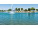 Picturesque pond with a fountain and picnic area, perfect for community gatherings at 15656 W Mercer Ln, Surprise, AZ 85379