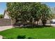 Inviting front exterior featuring lush green grass, mature trees, and a well-maintained facade at 1754 W San Tan St, Chandler, AZ 85224