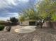 Expansive backyard featuring desert landscaping, patio space, mature trees, and privacy fence at 2042 N Parish N Ln, Casa Grande, AZ 85122