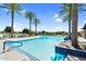 Community pool with palm trees, shade and lounge chairs at 21716 S 225Th Way, Queen Creek, AZ 85142