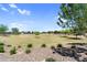 Community open space with mature trees, gravel, and native plants at 21716 S 225Th Way, Queen Creek, AZ 85142