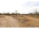 Desert property with shrubs, cactus, and an unpaved driveway at 36655 N 25Th St, Cave Creek, AZ 85331