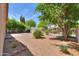 Spacious fenced backyard with desert landscaping and mature trees at 67 N Montoro Ln, Casa Grande, AZ 85194