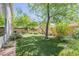 Lush backyard with manicured lawn, mature trees, and desert landscaping at 10387 W Runion Dr, Peoria, AZ 85382