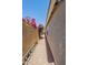 Narrow side yard featuring a gravel path and flowering shrubs against a light-colored stucco wall at 10387 W Runion Dr, Peoria, AZ 85382