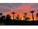 Sunset view with trees, bushes, and palm trees in front of clouds with the colors of the setting sun at 10387 W Runion Dr, Peoria, AZ 85382
