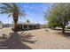 Spacious backyard with mature landscaping, a covered patio, and gravel groundcover at 1056 S 81St St, Mesa, AZ 85208