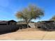 Fenced backyard with native tree offering privacy and desert charm at 2427 W Desert Hills Estate Dr, Phoenix, AZ 85086