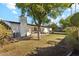 Spacious backyard with a well maintained lawn and a covered patio, perfect for outdoor entertainment and relaxation at 2435 E Jensen St, Mesa, AZ 85213