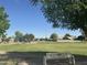 Enjoy the community park with playground, picnic area, and expansive green space at 3239 S Tatum Ln, Gilbert, AZ 85297