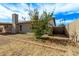 Backyard exterior with a mature tree near the house and brick landscaping border at 5129 W Windrose Dr, Glendale, AZ 85304
