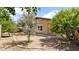 An inviting backyard with mature trees, a desert landscape, and stone accents at 17132 W Tara Ln, Surprise, AZ 85388