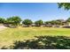 A wide shot of a well-maintained park features mature trees, playground equipment, and shaded picnic areas at 1932 S Arroyo Ln, Gilbert, AZ 85295