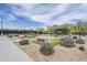 Outdoor recreational area with cornhole, picnic tables, and lounge seating underneath a shaded canopy at 2210 W Calle Del Sol --, Phoenix, AZ 85085