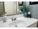 Bathroom featuring a sink, mirror, and decorative plant, creating a cozy atmosphere at 3237 S Albert Ave, Tempe, AZ 85282