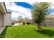 Green backyard with artificial turf and block fence at 3480 N 307Th Dr, Buckeye, AZ 85396