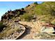 Scenic hiking trail ascending a rocky mountain, framed by lush greenery at 3653 E Highland Ave, Phoenix, AZ 85018