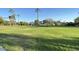 Expansive grassy park area with scattered trees and homes visible in the distance under a sunny sky at 3653 E Highland Ave, Phoenix, AZ 85018