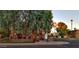 Exterior view of a lively restaurant with outdoor seating surrounded by lush trees and a vibrant atmosphere at 3653 E Highland Ave, Phoenix, AZ 85018