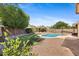 Landscaped backyard features an in-ground pool, lush green lawn, mature trees and gravel landscape at 4222 E Torrey Pines Ln, Chandler, AZ 85249