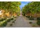 Inviting walkway lined with trees and landscaping leading to a beautiful property entrance at 4949 E Lincoln Dr # 11, Paradise Valley, AZ 85253