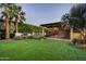Lush backyard featuring a manicured lawn, palm trees, and a sparkling pool with a covered patio at 6019 N 62Nd Pl, Paradise Valley, AZ 85253