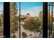 Beautiful outdoor view seen through a window with lush greenery, palm trees, and distant mountains at 6500 E Camelback Rd # 1010, Scottsdale, AZ 85251