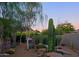 Beautiful backyard with desert landscaping, cacti, trees and plants, with mountain views in the background at 6591 E Amber Sun Dr, Scottsdale, AZ 85266