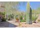 Desert-landscaped side yard featuring a variety of cacti, plants, and rock features, creating a serene outdoor space at 6591 E Amber Sun Dr, Scottsdale, AZ 85266
