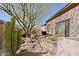Desert-style side yard with cacti, mature trees, and a walkway, enhancing the home's curb appeal at 6591 E Amber Sun Dr, Scottsdale, AZ 85266