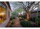 Side yard with a stone paver pathway, desert landscaping, cacti and mature trees at 6591 E Amber Sun Dr, Scottsdale, AZ 85266