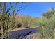 Street view of a beautiful home situated among mature desert landscaping with mountain views in the background at 6591 E Amber Sun Dr, Scottsdale, AZ 85266