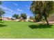 Large backyard with lush green grass, mature trees, and a private fence at 826 W Devon Dr, Gilbert, AZ 85233