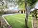 Inviting backyard featuring a lush green lawn, mature trees, and well-maintained landscaping at 10031 W Hess St, Tolleson, AZ 85353