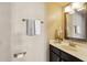 Well-lit bathroom with a modern vanity, neutral wall color, decorative plant, and towel rack for convenience at 1114 W Windjammer Dr, Gilbert, AZ 85233