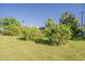 Lush backyard with mature trees and landscaping, providing a private outdoor oasis at 125 N Fraser E Dr, Mesa, AZ 85203