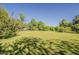 Expansive backyard with lush lawn and mature trees providing ample shade and privacy at 125 N Fraser E Dr, Mesa, AZ 85203