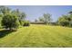Expansive backyard with lush lawn, mature trees, and partial view of the house at 125 N Fraser E Dr, Mesa, AZ 85203