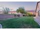 Well-manicured backyard featuring a healthy lawn and neatly landscaped borders with plants and trees at 14556 W Shaw Butte Dr, Surprise, AZ 85379